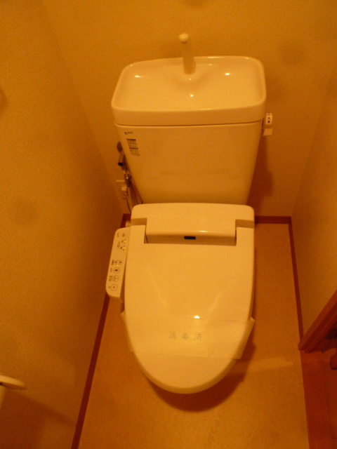 エバーグリーン その他2