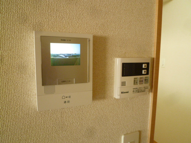 エバーグリーン その他3