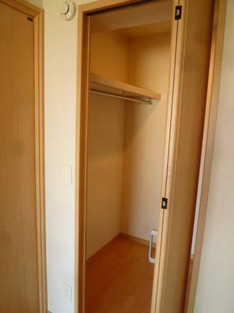 エバーグリーン その他4