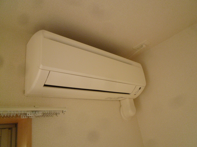 エバーグリーン その他5