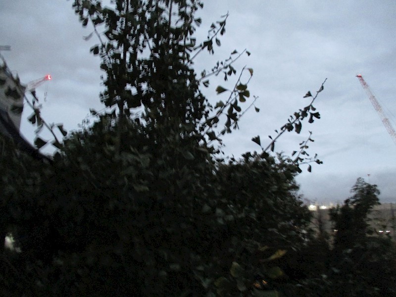 IＱテラス横浜戸塚 その他6