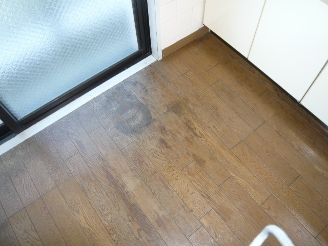 グリーンヒル飯島 その他4