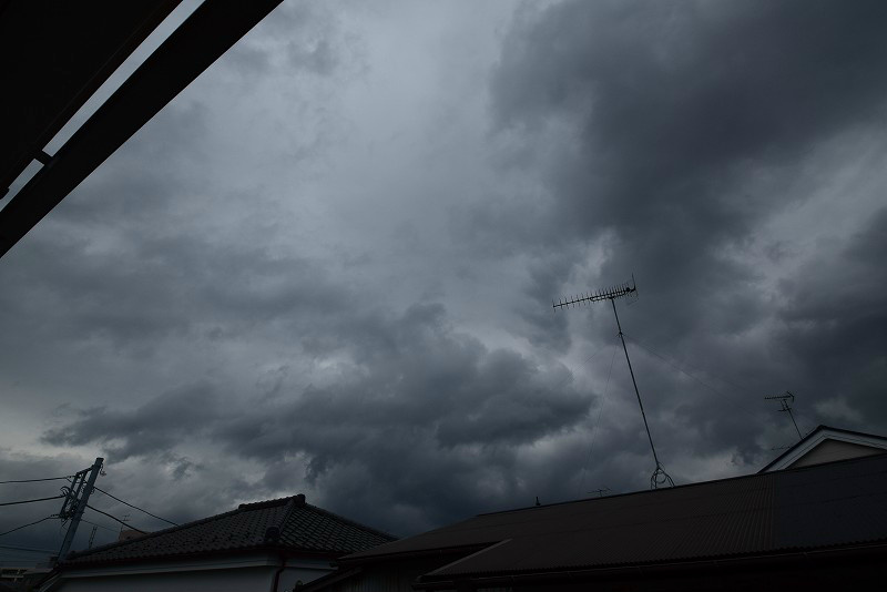 リブリ・大船 その他1