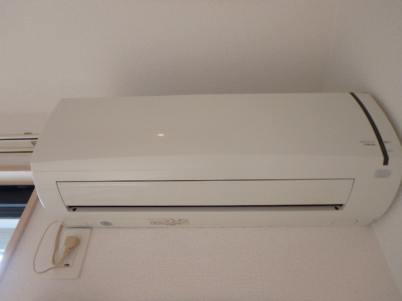 アンモードイグサ1 その他4