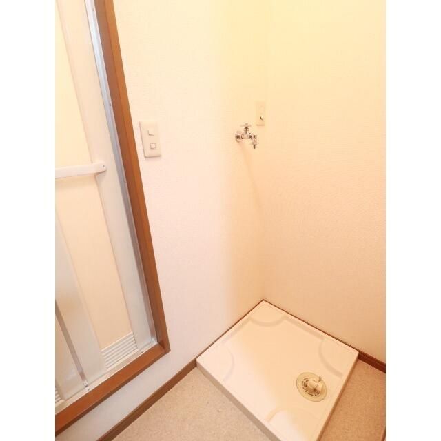 アムール白樺 その他1