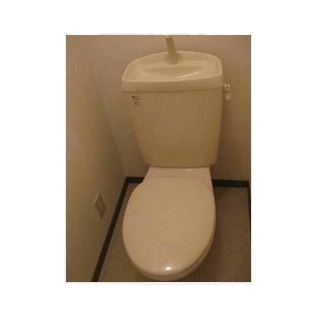 アムール白樺 その他2