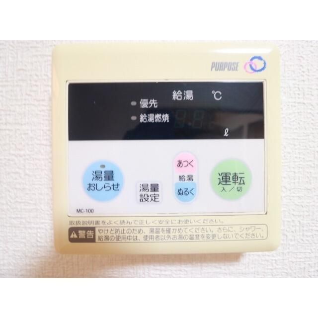 アムール白樺 その他3