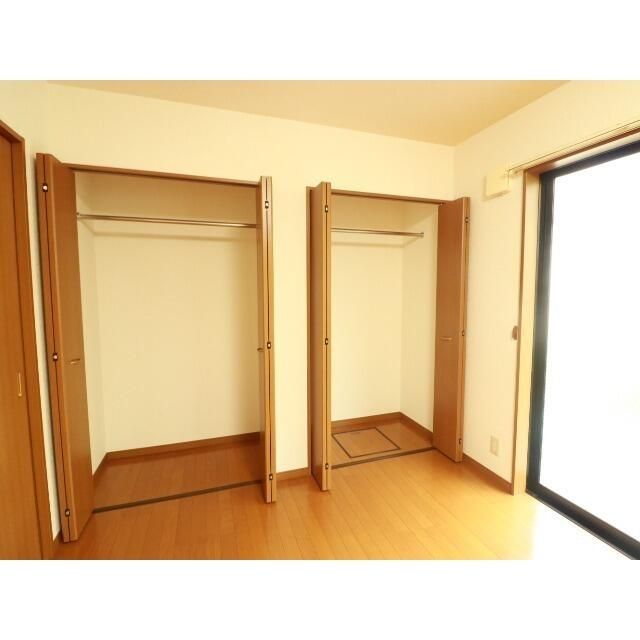 アムール白樺 その他4