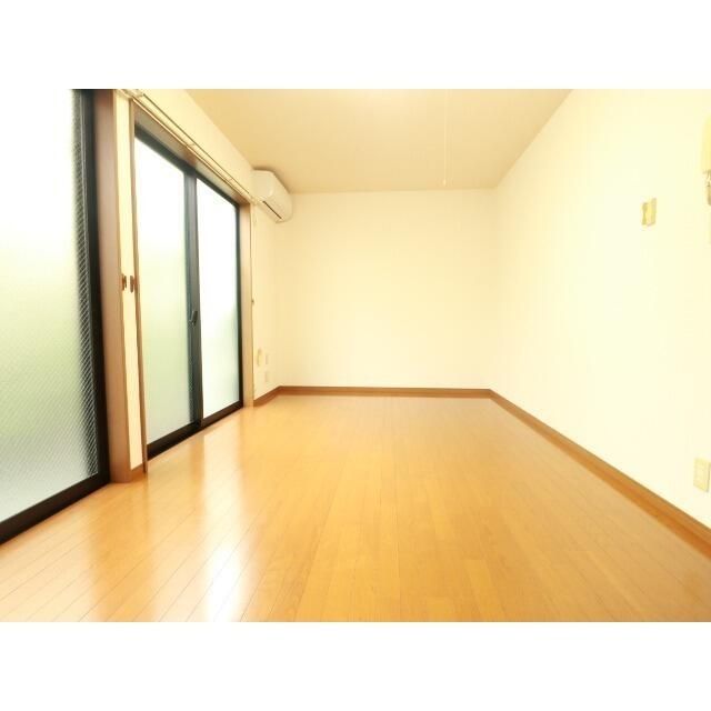 アムール白樺 その他5