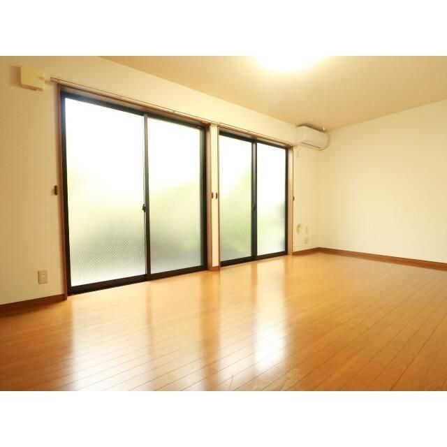 アムール白樺 その他6