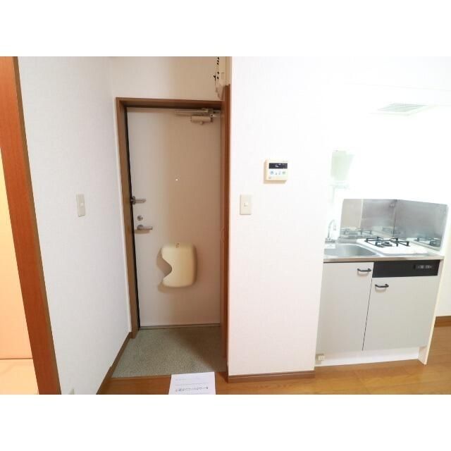 アムール白樺 玄関