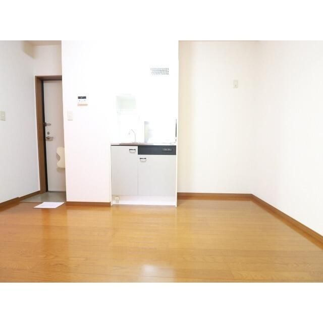 アムール白樺 その他7