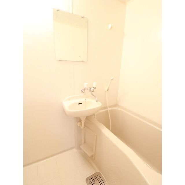 アムール白樺 風呂画像