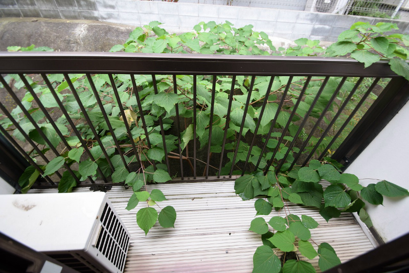 サンライズヒル湘南 ベランダ