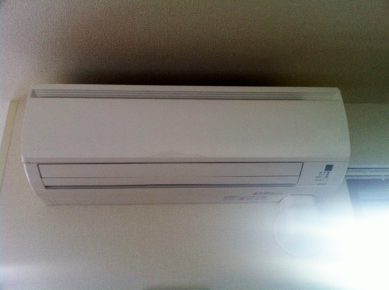 オークリーフ その他2