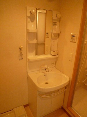 ツインズ その他2