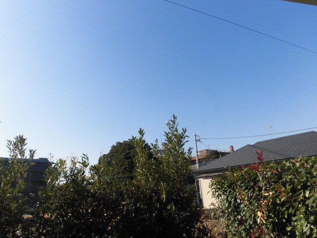 ノーブルパレスA棟 その他6