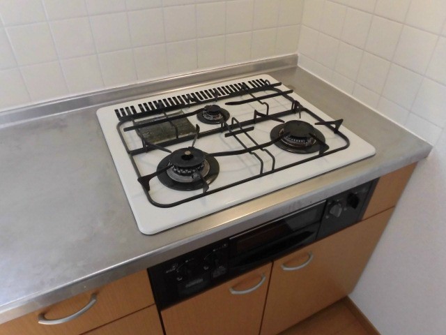 テラス・ヴェルデュール その他8