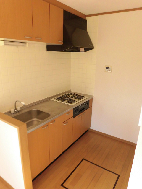 テラス・ヴェルデュール キッチン