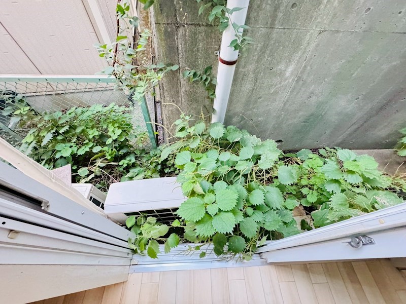 クロノス秦野 その他6