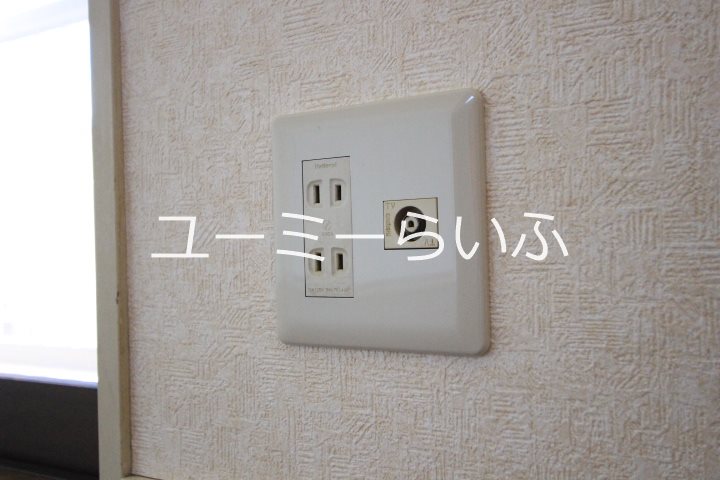 その他 フィールド中田 その他3