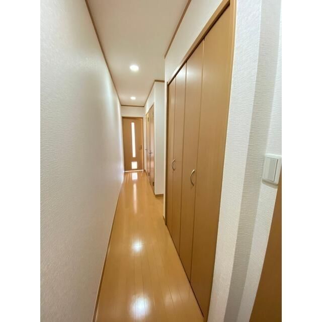 Amourシュシュ(アムールシュシュ） 収納