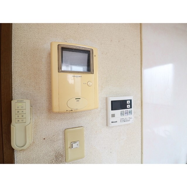 アンプルールブワOgawa　 その他1