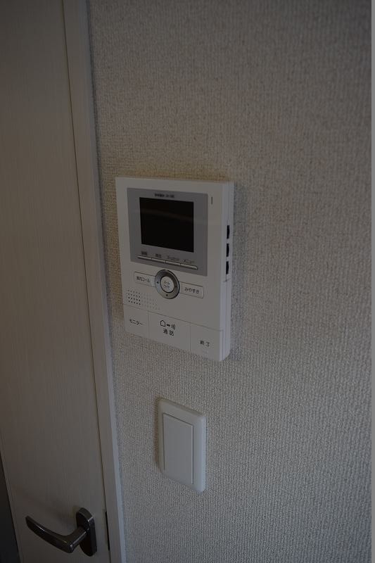 ヤマボウシ その他1