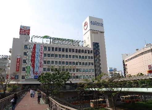 Hartsdale　Shonan 周辺画像3