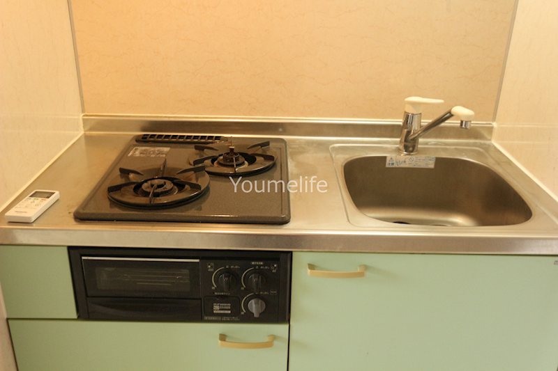 プレセンスK その他7