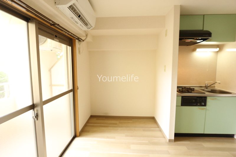 プレセンスK その他8