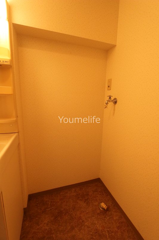 プレセンスK その他9