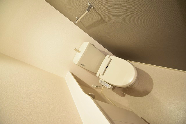 ヴァーシュ　コケット その他6