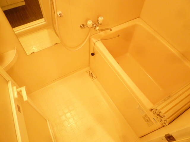 デルニエ 風呂画像