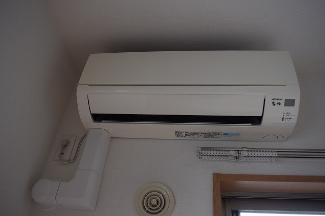 アイリス その他1