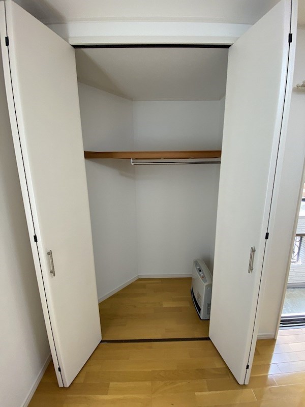 ラティアス その他3