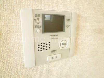 ザ・パーシモン　D その他4