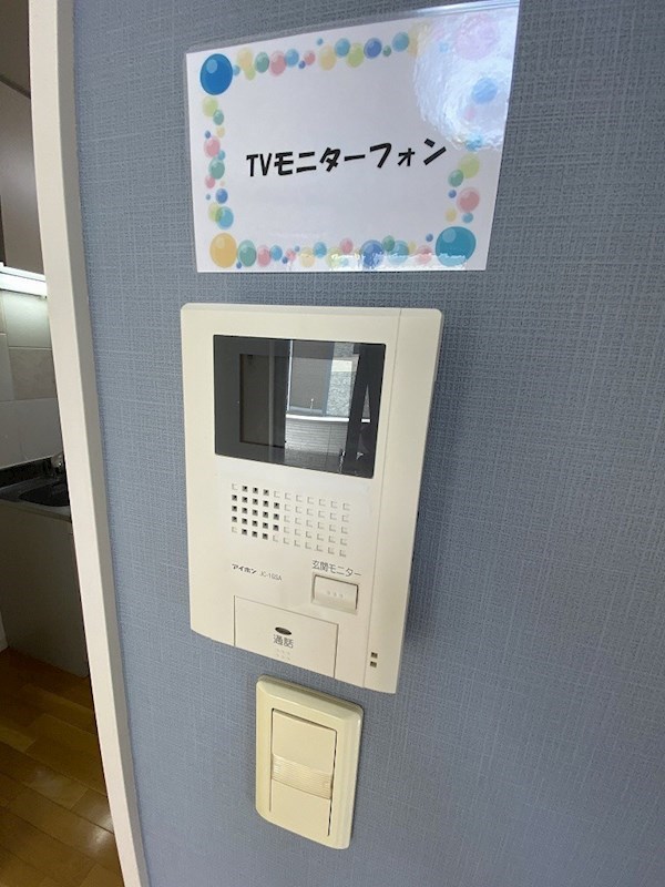 ラティアス その他5