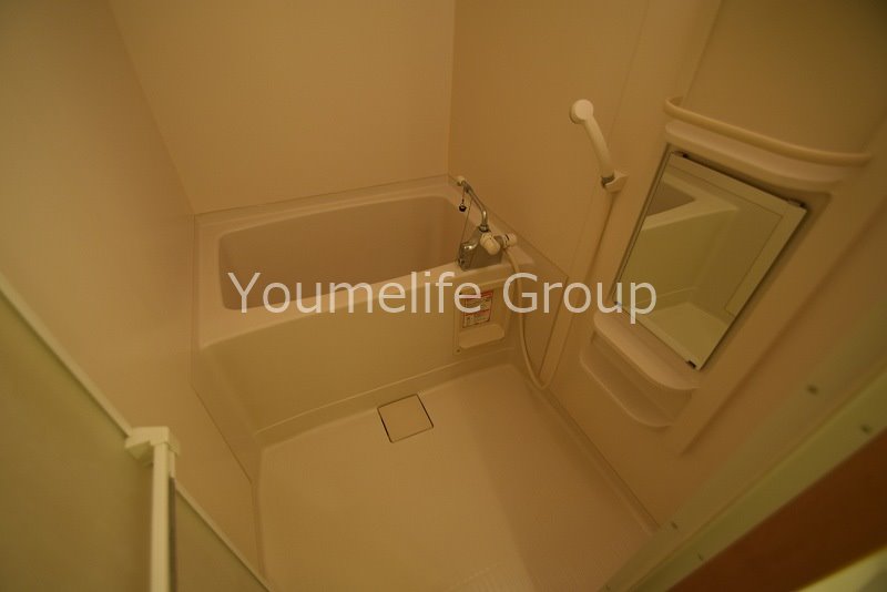 ジェミナイ その他7