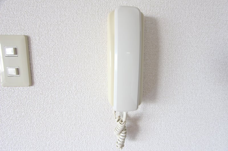 プリムローズ その他4