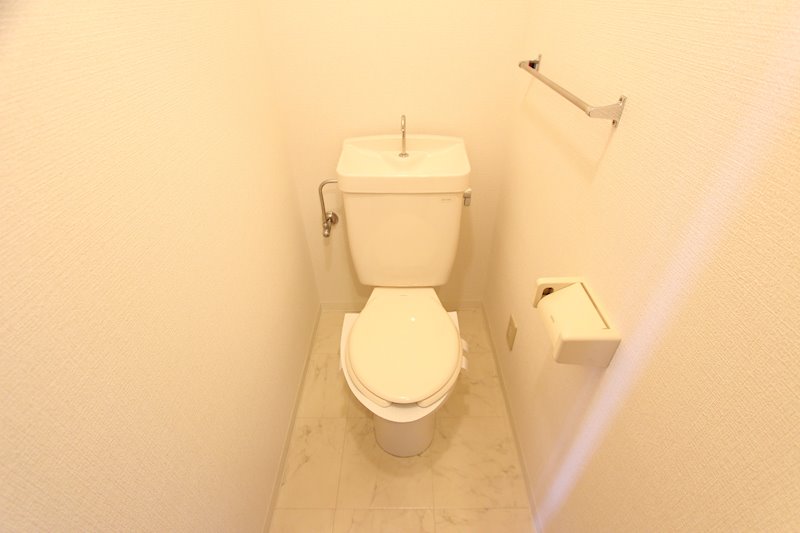 プリムローズ その他5