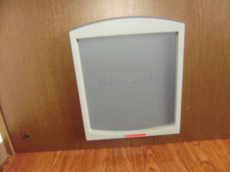 プリムローズ その他7