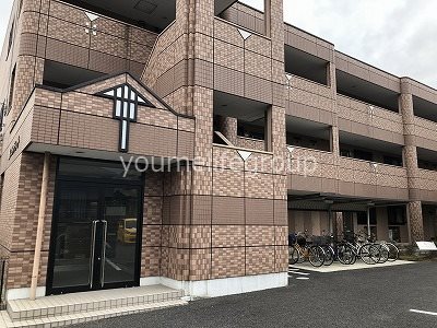 コンテント その他外観1