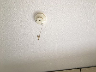 リバーサイドテラスB棟 その他17