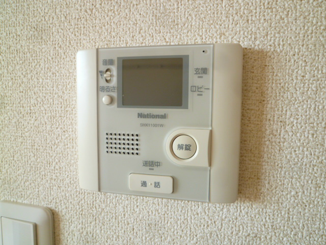 GEMINI ONNA その他4