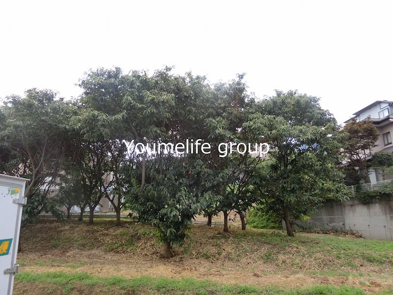 ヴィラ・エクレールA その他5