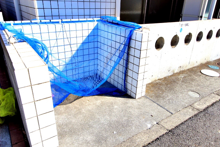 ＲＡＰT   その他5