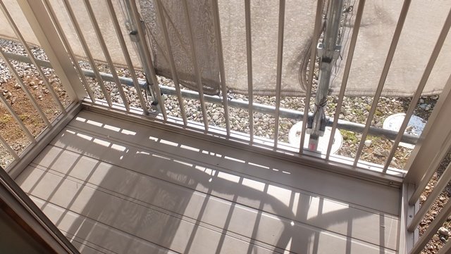 コンフォート真田 ベランダ
