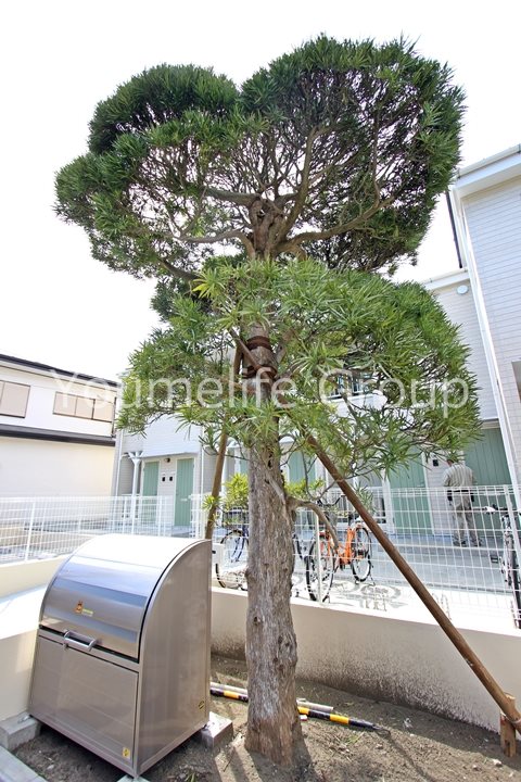 レザンコート その他外観4