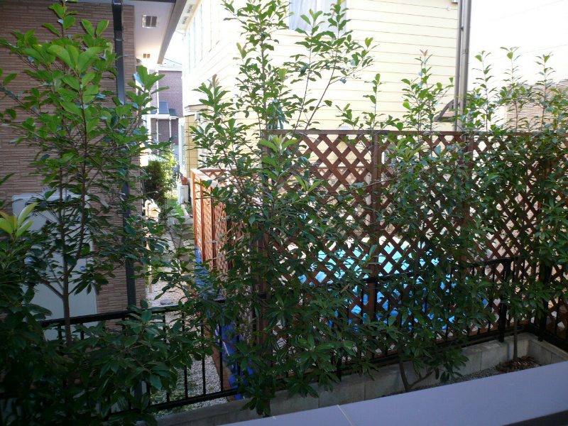 ルミエール  その他1